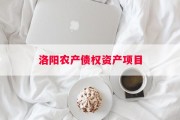 洛阳农产债权资产项目