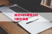 湖北HXX建投2025债权项目