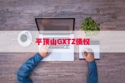平顶山GXTZ债权