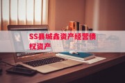 SS县城鑫资产经营债权资产