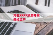 河北XXXX旅游开发债权资产