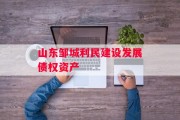 山东邹城利民建设发展债权资产