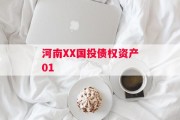河南XX国投债权资产01