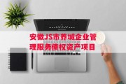 安徽JS市养城企业管理服务债权资产项目