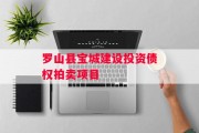 罗山县宝城建设投资债权拍卖项目