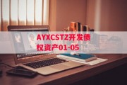 AYXCSTZ开发债权资产01-05