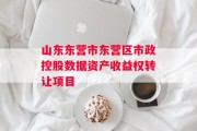 山东东营市东营区市政控股数据资产收益权转让项目