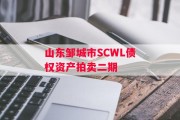 山东邹城市SCWL债权资产拍卖二期