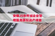 安徽JS市养城企业管理服务债权资产项目