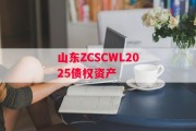 山东ZCSCWL2025债权资产