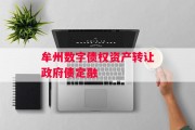 牟州数字债权资产转让政府债定融