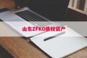山东ZFKG债权资产