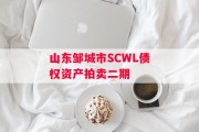 山东邹城市SCWL债权资产拍卖二期