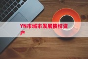 YN市城市发展债权资产