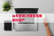 山东邹城LM建设发展债权资产