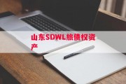 山东SDWL旅债权资产