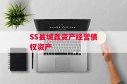 SS县城鑫资产经营债权资产
