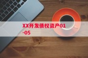XX开发债权资产01-05