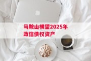 马鞍山横望2025年政信债权资产