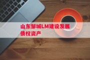 山东邹城LM建设发展债权资产