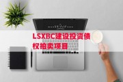 LSXBC建设投资债权拍卖项目