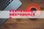 东营市DY区市政控股数据资产收益权转让项目