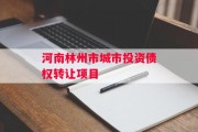 河南林州市城市投资债权转让项目