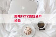 鄢陵FZTZ债权资产拍卖