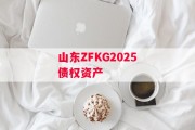 山东ZFKG2025债权资产