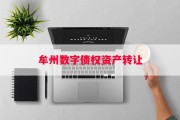 牟州数字债权资产转让
