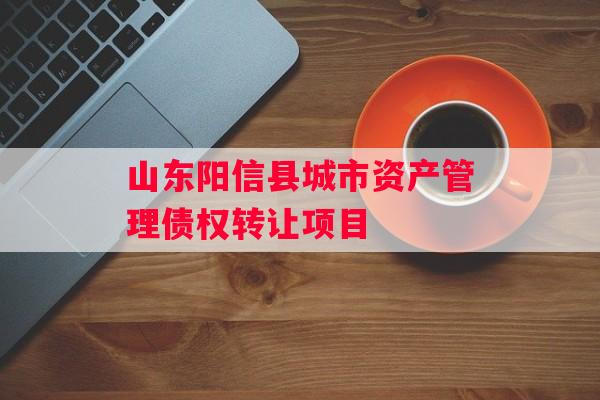 山东阳信县城市资产管理债权转让项目