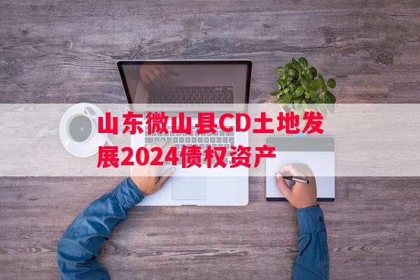 山东微山县CD土地发展2024债权资产