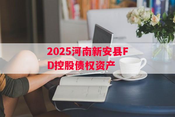2025河南新安县FD控股债权资产