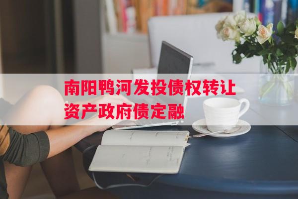 南阳鸭河发投债权转让资产政府债定融