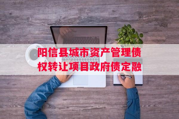 阳信县城市资产管理债权转让项目政府债定融