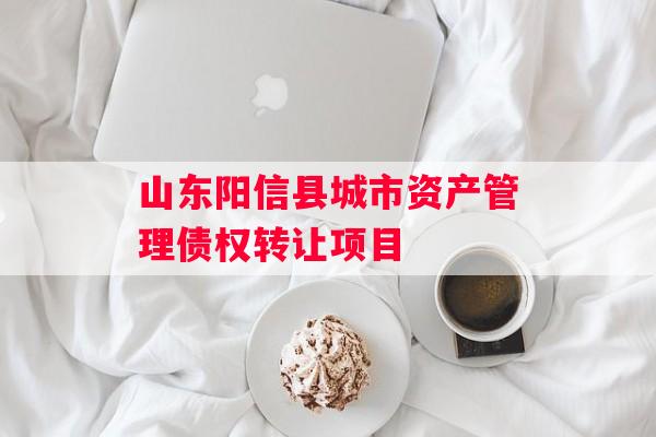山东阳信县城市资产管理债权转让项目