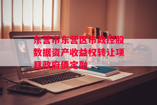 东营市东营区市政控股数据资产收益权转让项目政府债定融