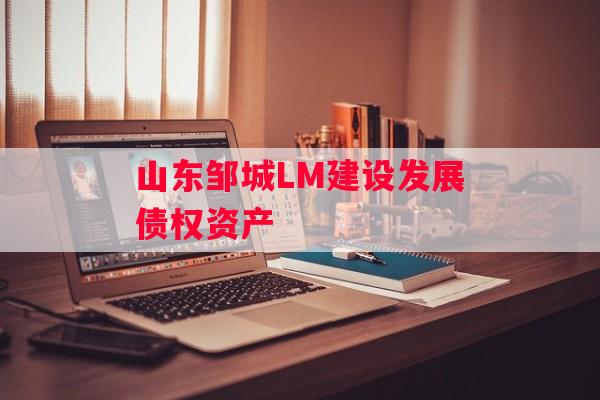 山东邹城LM建设发展债权资产