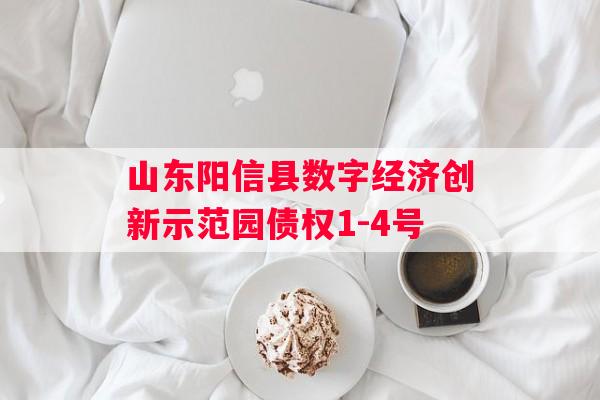 山东阳信县数字经济创新示范园债权1-4号