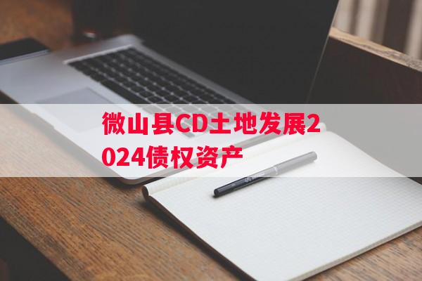 微山县CD土地发展2024债权资产