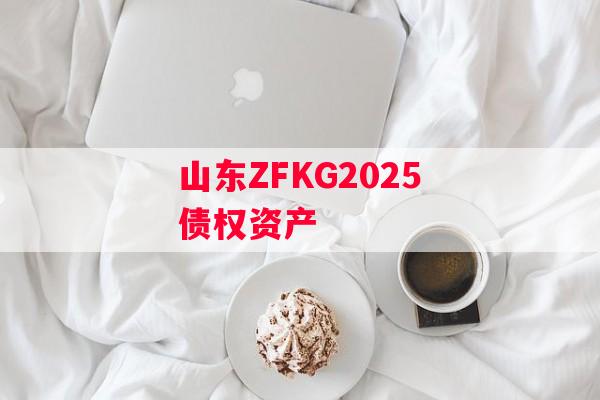 山东ZFKG2025债权资产