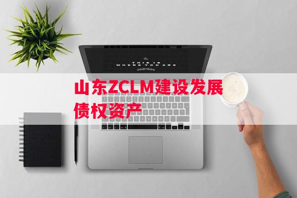 山东ZCLM建设发展债权资产