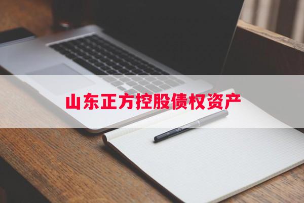 山东正方控股债权资产