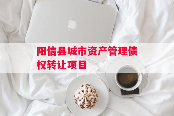 阳信县城市资产管理债权转让项目