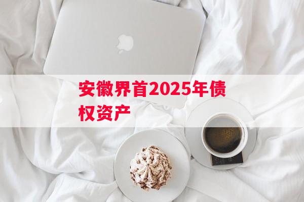 安徽界首2025年债权资产