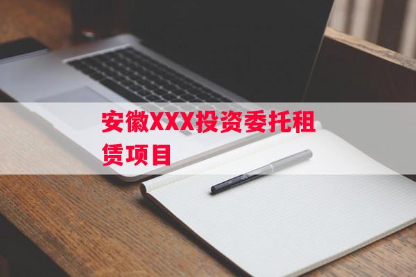 安徽XXX投资委托租赁项目