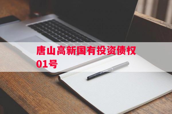 唐山高新国有投资债权01号