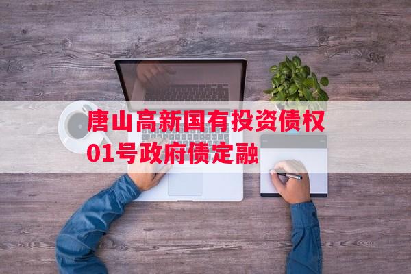 唐山高新国有投资债权01号政府债定融