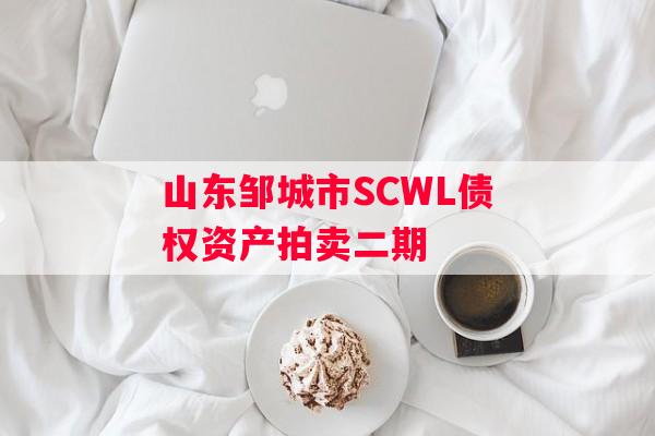 山东邹城市SCWL债权资产拍卖二期