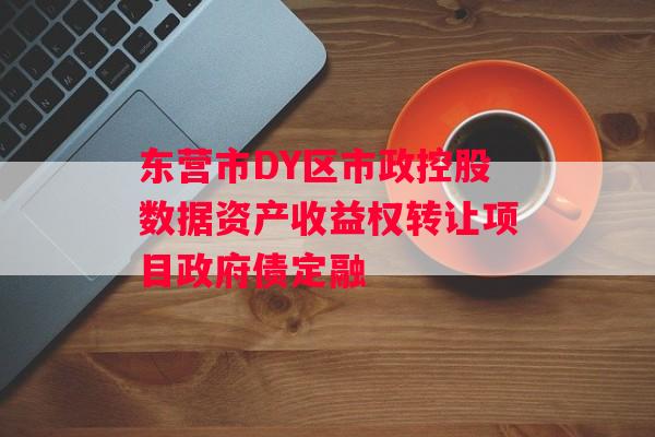 东营市DY区市政控股数据资产收益权转让项目政府债定融